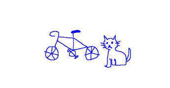 A cat next to the bike 