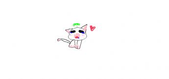 A sad-looking kitten 