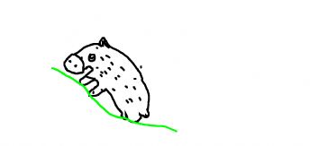A small, pig-like animal is climbing a mountain 