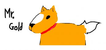 Ein orangefarbener Hund mit rotem Halsband. 