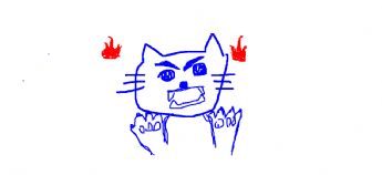 A kitten that looks very angry 