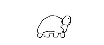 A crawling turtle 