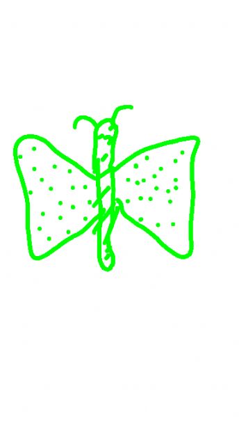 A green butterfly 