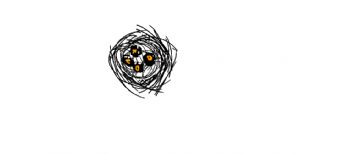 A bird's nest with eggs marked with letters 