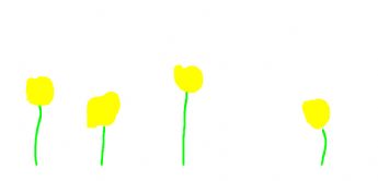 Fire små gule blomster vokser oprejst på græsset 